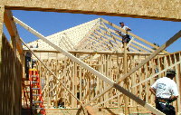 TRUSSES