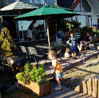 TEDDI & DAVE'S BACKYARD