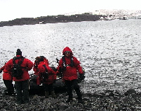 Landing Penguin Island